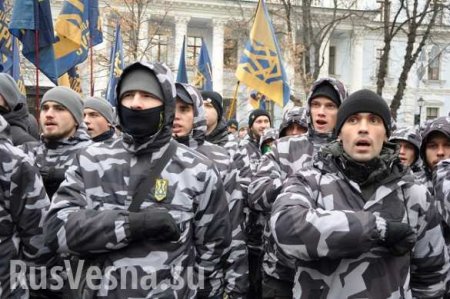 Нацисты создают на Донбассе и в Запорожье «штабы сопротивления капитуляции» (ВИДЕО)