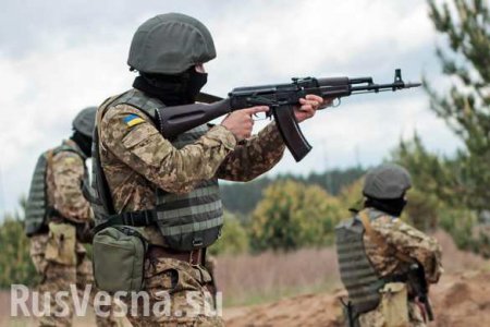 ВАЖНО: отвод сил и средств с линии фронта в ЛНР сорван украинской стороной (ФОТО)