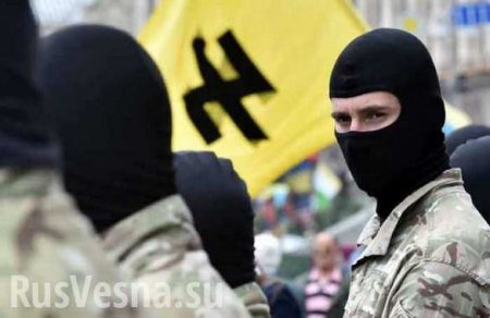 «Формула Бандеры», «план Б» и неонацисты — резкое заявление постпреда России в ОБСЕ