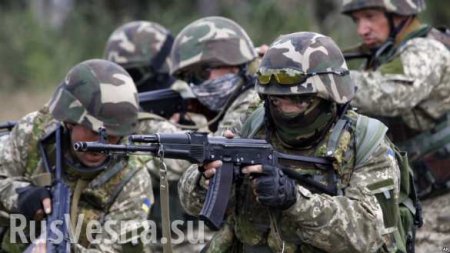 ВСУ инсценируют бои, готовятся к авиаударам и поднимают спецназ: сводка с Донбасса (ВИДЕО)