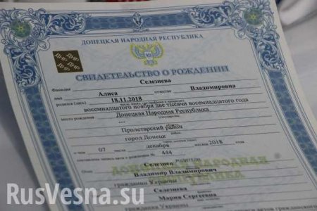 Украина будет признавать документы, выданные властями ДНР и ЛНР, — Кабмин