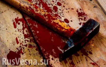 В ДНР раскрыто жестокое убийство (ВИДЕО)