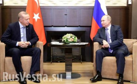 В Кремле рассказали, как создавался меморандум России и Турции по Сирии