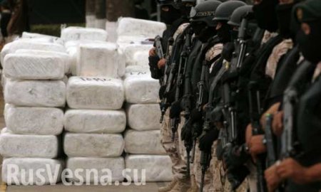 Торговцы смертью с Майдана: украинские спецслужбы годами прикрывали наркокартели