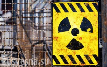 В обсерватории Госслужбы по ЧС Украины обнаружили повышенный уровень радиации