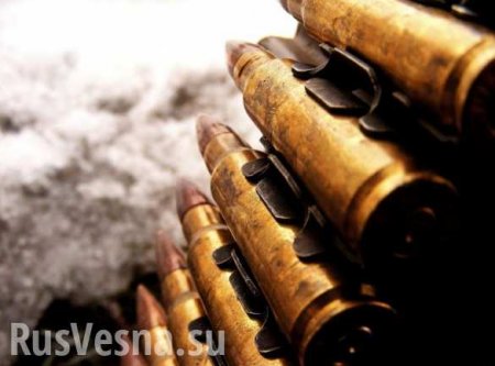В ФСБ России рассказали о десятках попыток ввоза оружия и боеприпасов из Украины в Крым