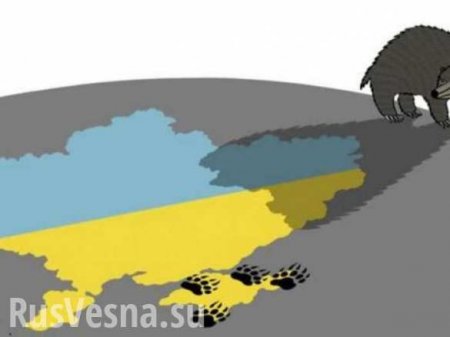 «Обнести Галичину рвом!»: Заявление депутата Госдумы о судьбе Украины вызвало истерику в киевских СМИ (ВИДЕО)
