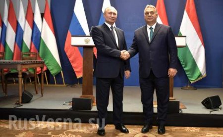 Венгрию не устраивают поставки российского газа только через Украину и она хочет присоединиться к «Турецкому потоку» (+ВИДЕО, ФОТО)