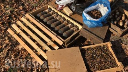 Миномёт, десятки мин, гранаты и тысячи патронов: в ЛНР обнаружен тайник диверсантов (ФОТО, ВИДЕО)
