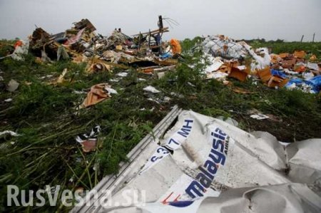 «Они мертвы и всем плевать»: решение Малайзии покупать у России самолёты вызвала истерику в Киеве