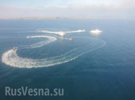 В Совфеде рассказали, как Украина может вернуть задержанные в Крыму корабли