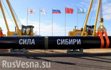 ВАЖНО: Согласована дата церемонии пуска газа в Китай по «Силе Сибири»