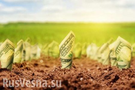 Зеленский намерен в ближайшее время начать подготовку к введению рынка земли на Украине