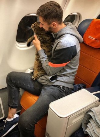 Из-за кота мужчину не пустили на рейс из Москвы, но он перехитрил авиакомпанию (ФОТО)