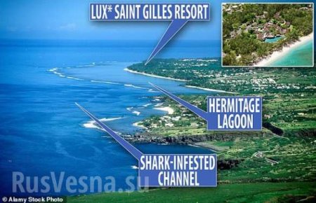 Руку туриста нашли в желудке акулы во Франции (ФОТО, ВИДЕО)