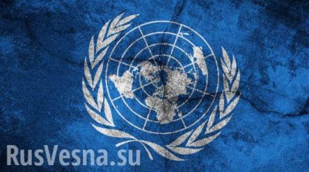 Международный суд ООН признал свою юрисдикцию в рассмотрении иска Украины против России