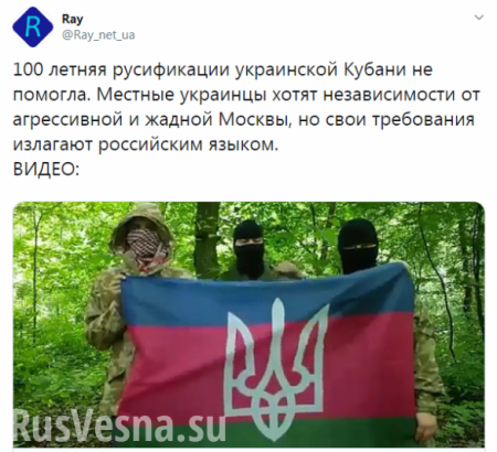 Кубань присоединяется к Украине — тупейший фейк киевской пропаганды (ВИДЕО)