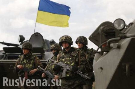 Иностранные пособники карателей прибыли на Донбасс — Запад в деле: сводка ЛНР (ВИДЕО)
