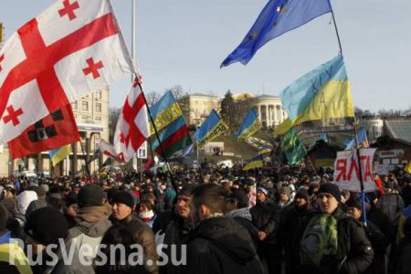 «Кастрюли» ликуют: на грузинском майдане появились украинские флаги (ВИДЕО)