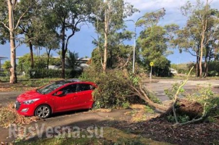Гигантский град и ураганный ветер: Австралия оказалась под природным «обстрелом» (ФОТО, ВИДЕО)