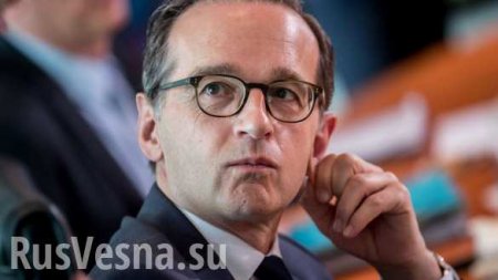 Глава МИД Германии отменил поездку на Донбасс