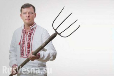 «Главный гомосек Украины»: в Киеве хотят посадить «скотыняку» Ляшко за нападение (ВИДЕО)