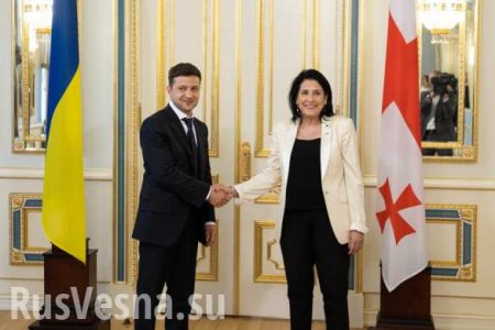 Президент Грузии отменила визит на Украину
