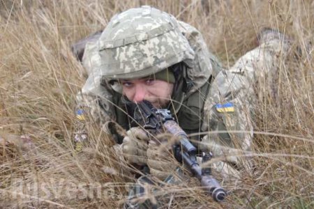 «ВСУшники» под Мариуполем «уничтожили вражеские корабли» (ФОТО)