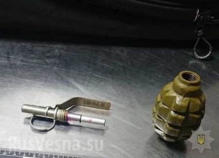 Житель Донецка пытался пронести гранату на рейс Киев — Хургада (ФОТО)
