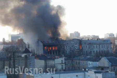 Пожар в Одессе: пострадали украинская археология, океанография и пчеловодство (ФОТО, ВИДЕО)