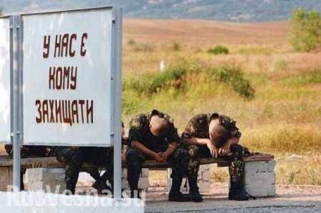 ВСУ создают спецкомиссию для борьбы со своими: сводка с Донбасса