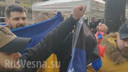 Боевики «АТО» порвали флаги России и ДНР в Париже (ФОТО, ВИДЕО)