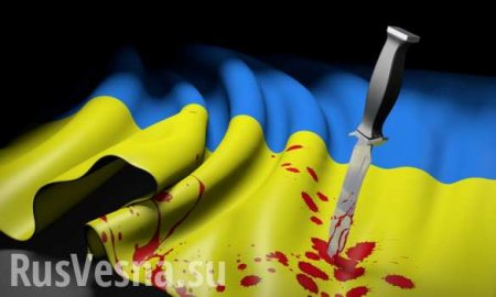Украинцев нашли зарезанными в Польше (ФОТО)