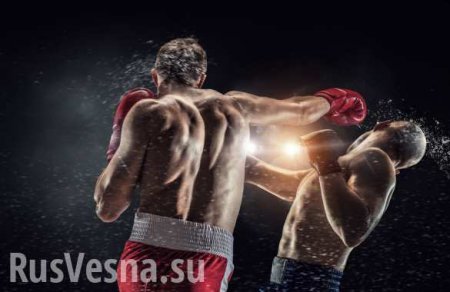 Бойцы ЛНР против боксёров из стран НАТО: победы и международное признание (ФОТО)