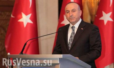 «Красная линия»: Турция грозит лишить США военных баз в Турции