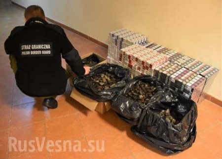 На границе Польши задержана рекордная партия янтаря из Украины (ФОТО)
