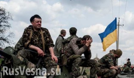 Каратели-психи на Донбассе: режут командиров и переворачивают танки (ВИДЕО)