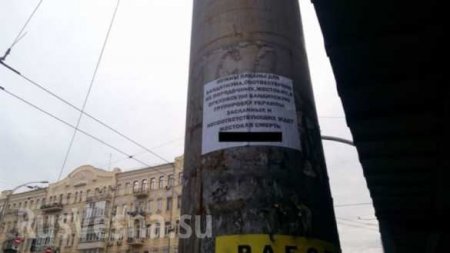 «Нужны пацаны для бандитизма» — в центре Киева появились странные объявления (ФОТО)