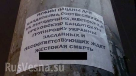 «Нужны пацаны для бандитизма» — в центре Киева появились странные объявления (ФОТО)