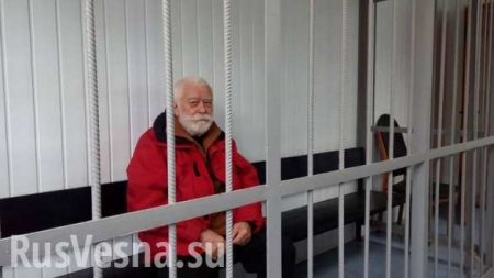 85-летний украинский учёный, которому вынесли приговор за госизмену, объявил голодовку (ВИДЕО)