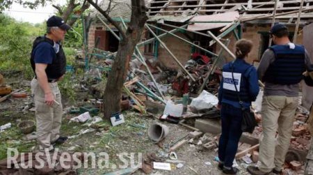 ОБСЕ назвала количество мирных жителей, погибших на Донбассе в 2019 году