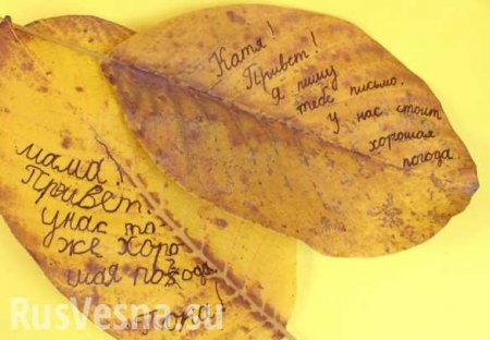 На Украине начали делать бумагу из опавших листьев (ФОТО, ВИДЕО)