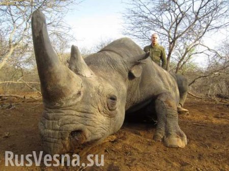 Нардеп-убийца признался в удачной охоте на носорогов (ФОТО)
