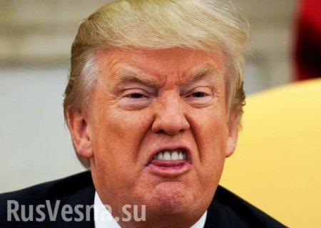 «Что вы за быки?!»: стало известно о ярости Трамп из-за пропущенного звонка Путина