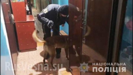 Типичная Украина: в общежитии Одессы подорвали гранату (ФОТО, ВИДЕО)