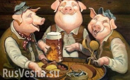 В Тюмени три свиньи пришли в магазин за коньяком (ФОТО, ВИДЕО)