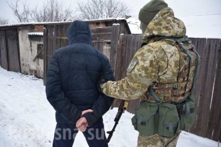 «Охранял обломки МН17» — на Украине заявили о захвате важного «свидетеля для Гааги» (ФОТО)