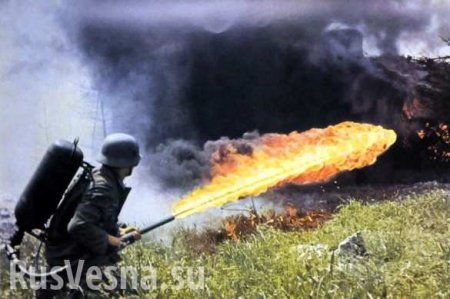 Огнемёт и «санэпидемстанция»: Донбассу показали, как его будут «реинтегрировать» (ВИДЕО)