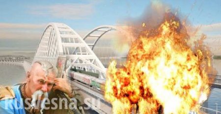 СБУ готовила теракт перед проездом Путина по Крымскому мосту (ВИДЕО)
