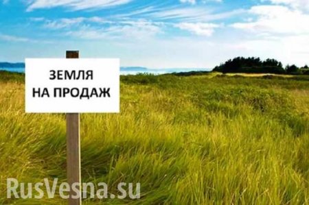 В правительстве Украины рассказали, как можно будет покупать и продавать землю